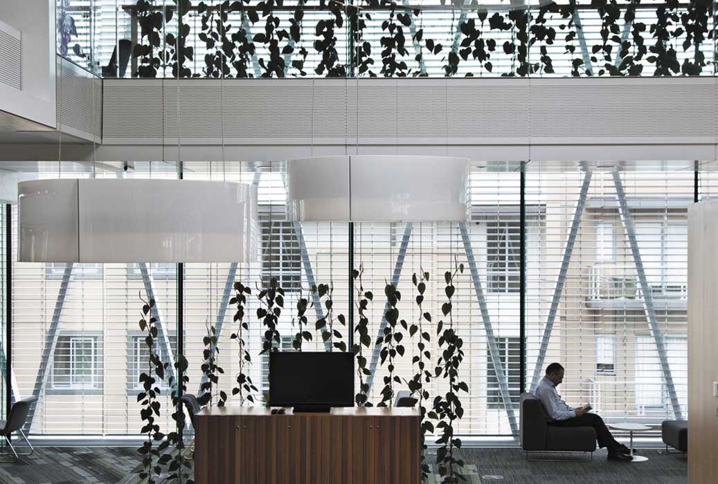 5cb5656c6cf2f597b24a3a6d_NZI-3