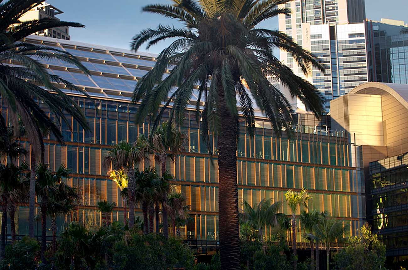 5cb5495af6b746fa8667fc4e_Darling-Quarter