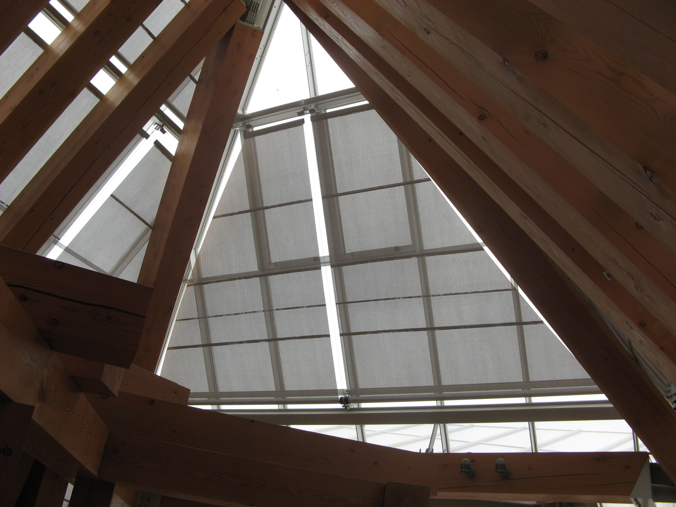 Cancer house-TESS101