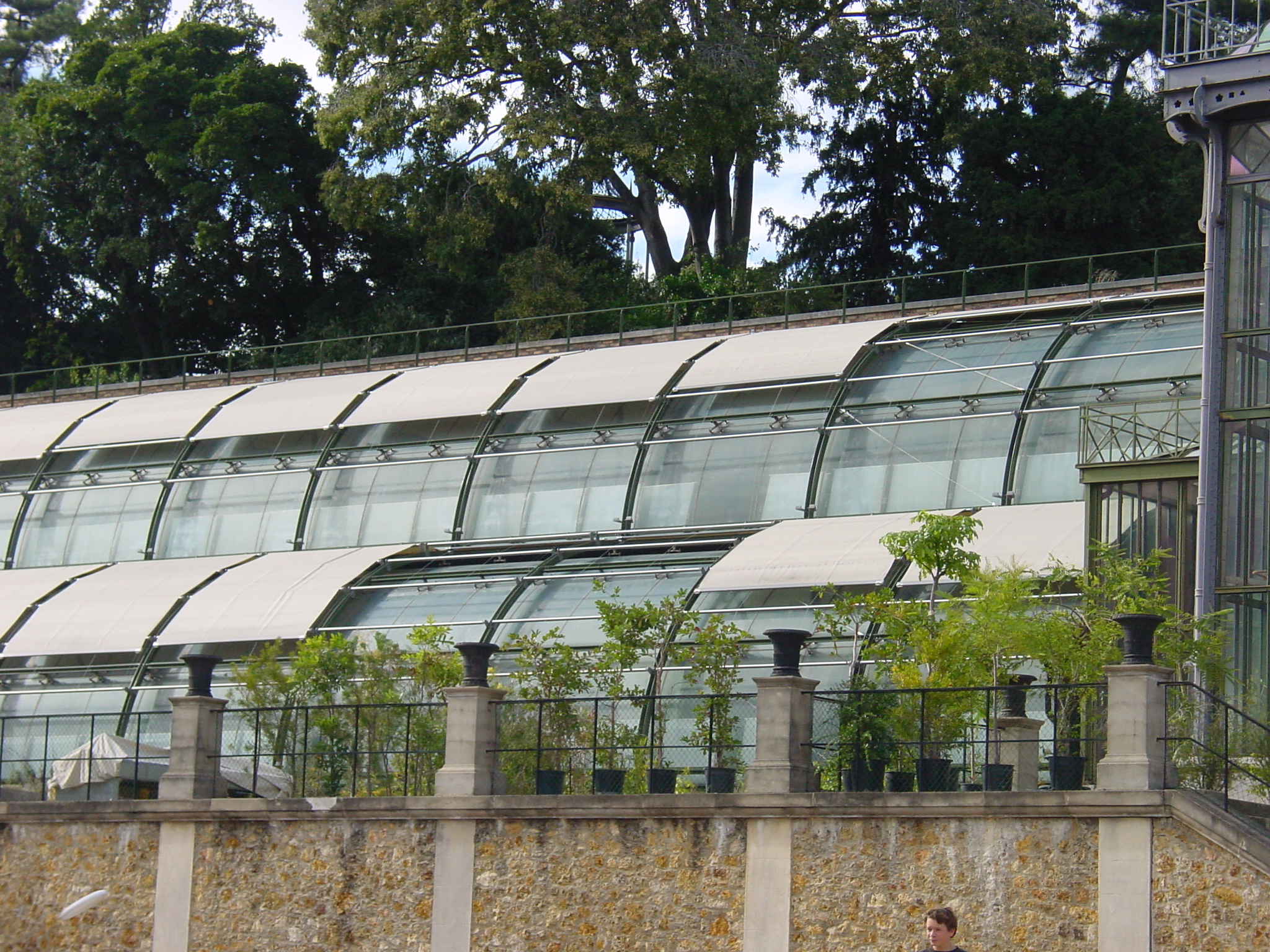 Jardin des plantes-TESS400
